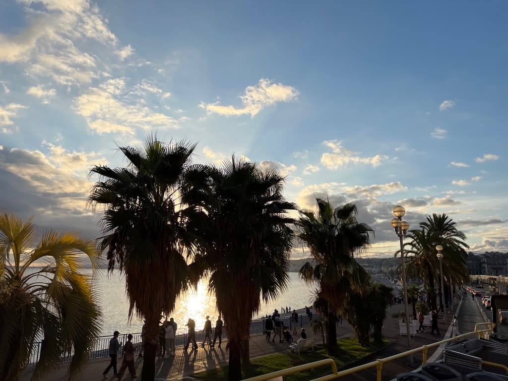 Palm trees by the Promenade des Anglais